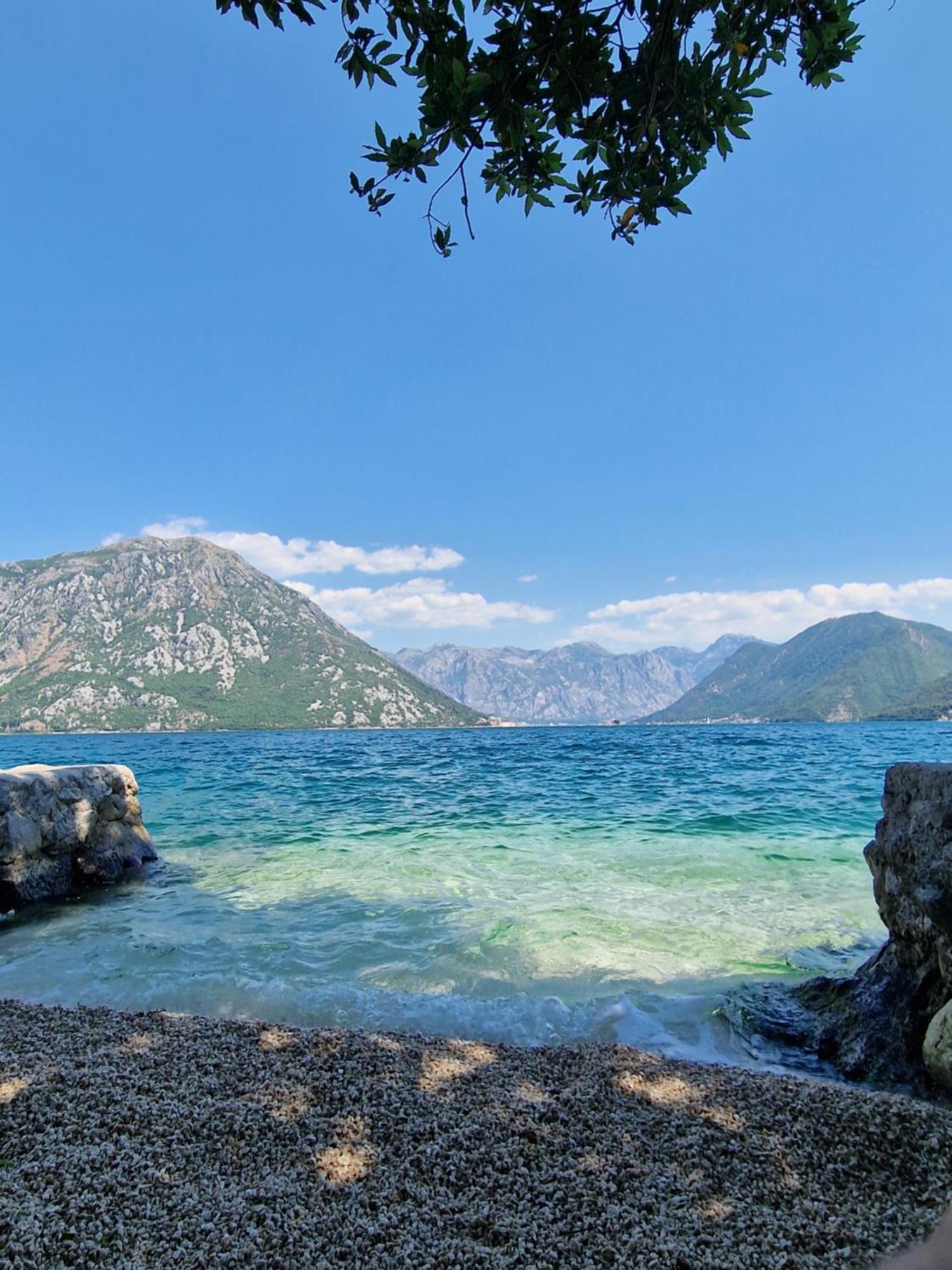 - Eco Bay * Дони-Моринь